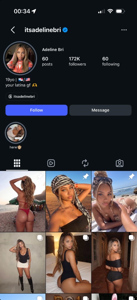 Instagram profile for @itsadelinebri — Adeline Bri, 172K followers